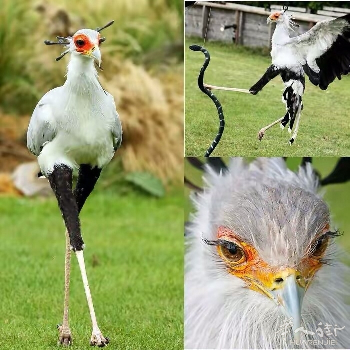 picture.jpg