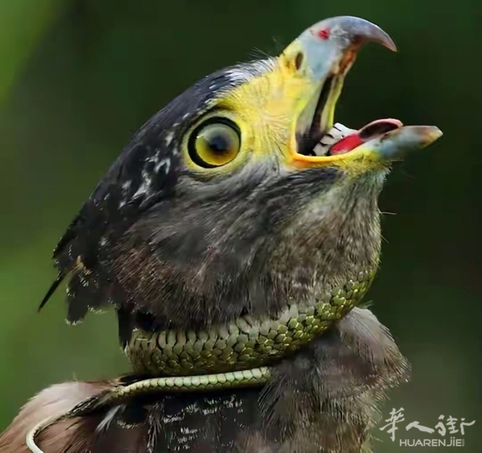 picture.jpg