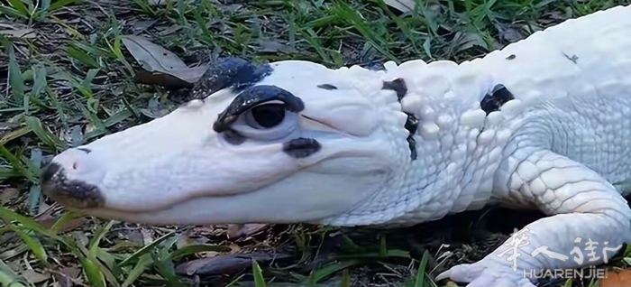 picture.jpg