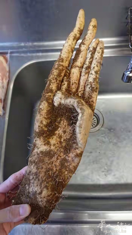 picture.jpg