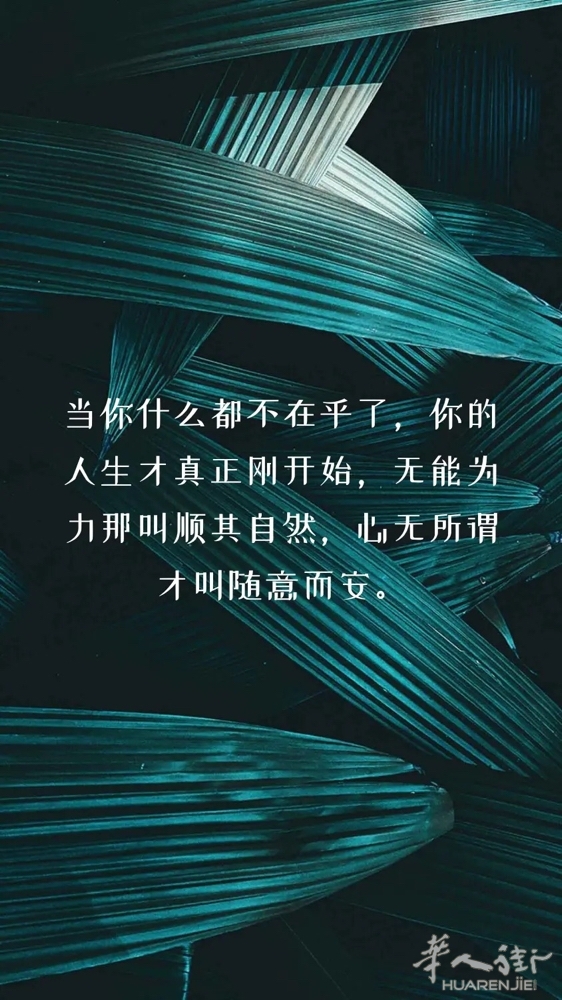 picture.jpg
