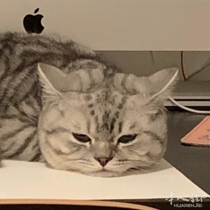 picture.jpg