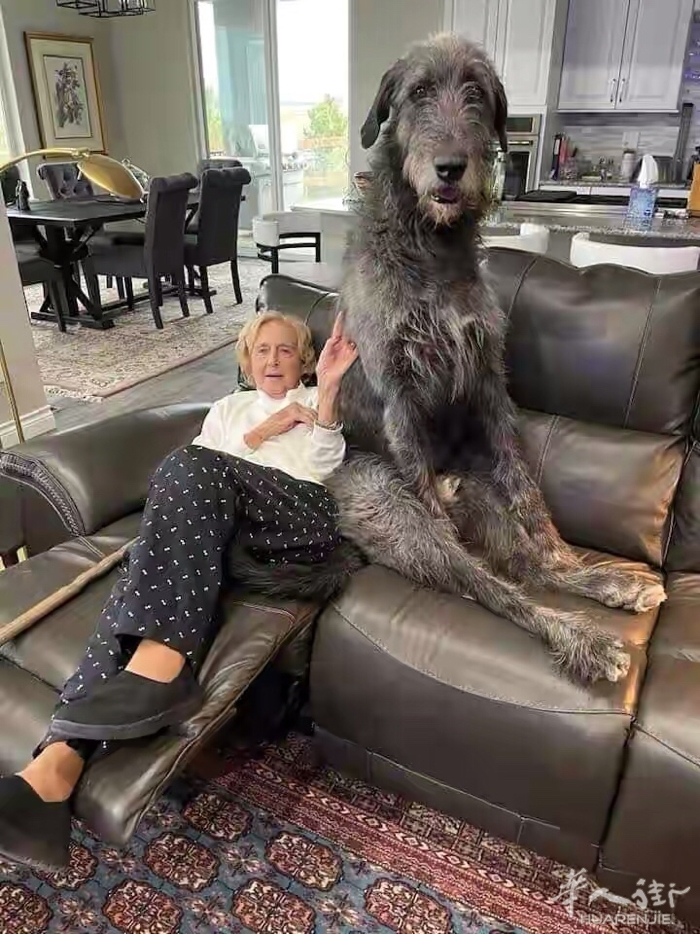 picture.jpg