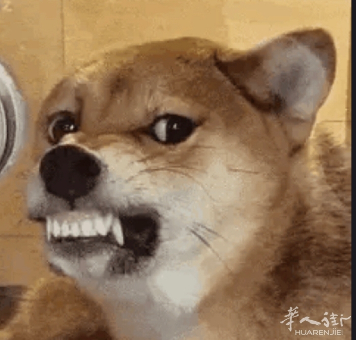 picture.jpg