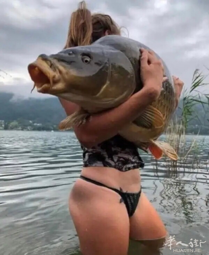 picture.jpg