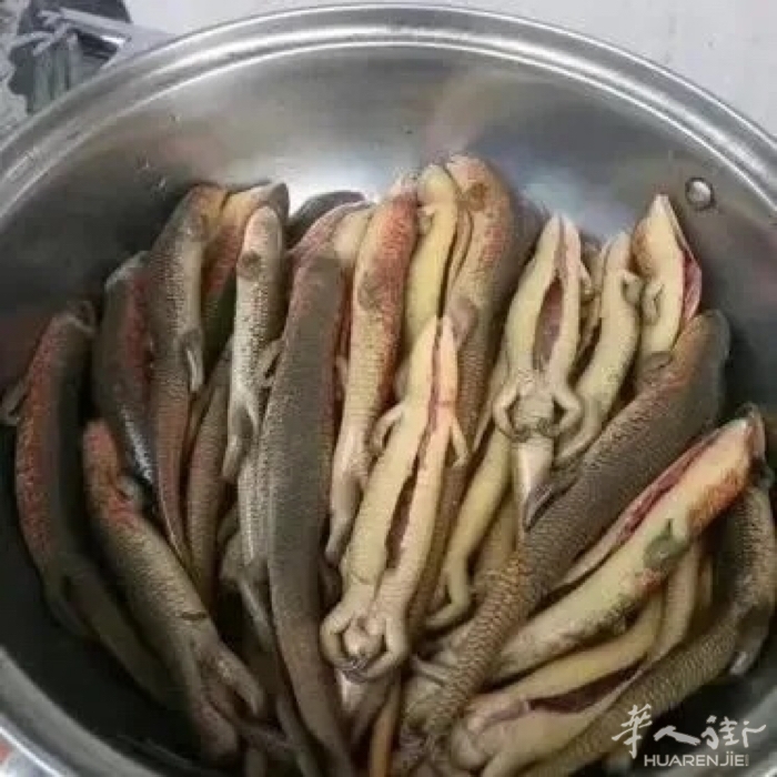 picture.jpg