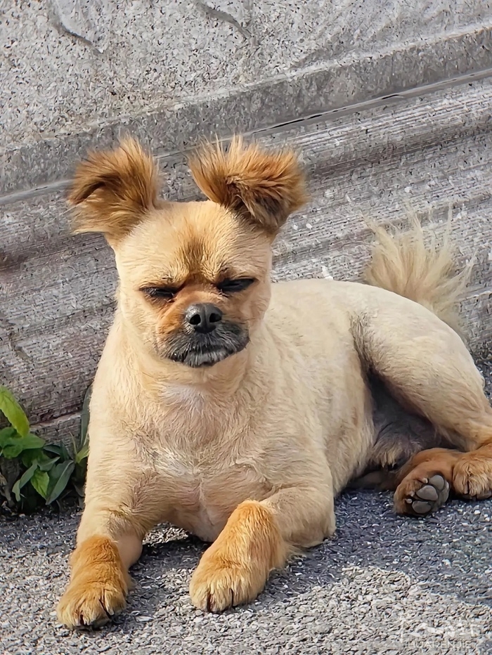 picture.jpg