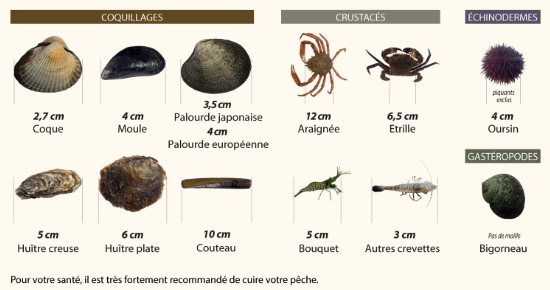 截屏2023-04-21 12.35.58.png