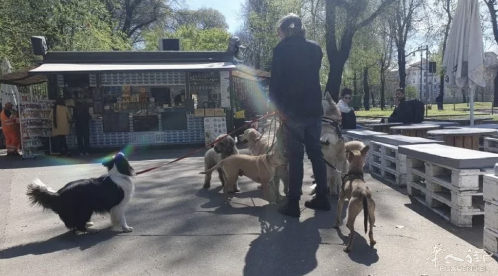 截屏2023-05-16 11.59.04.png