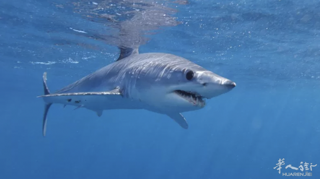 截屏2023-06-28 21.04.43.png