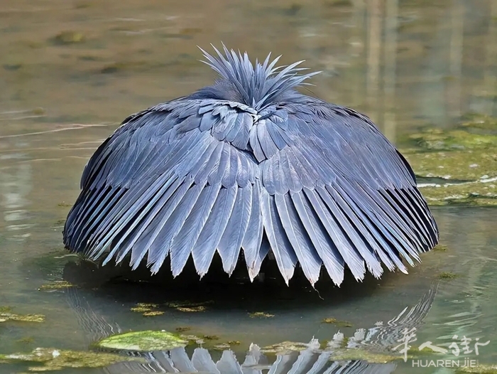 picture.jpg