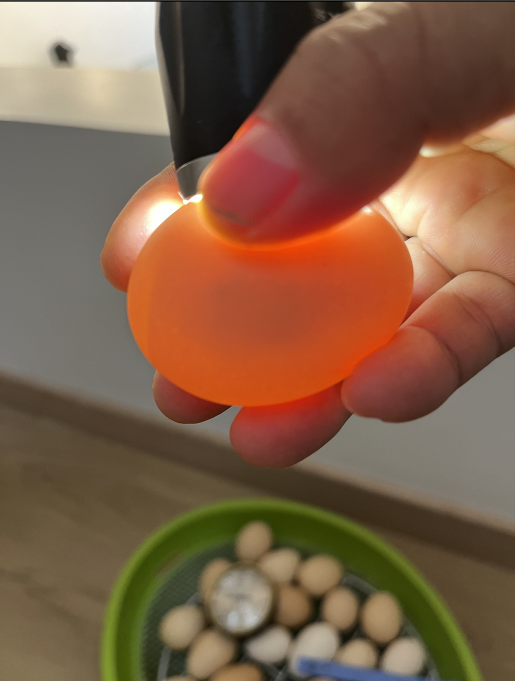 Capture d’écran 2025-05-15 à 12.35.21.png