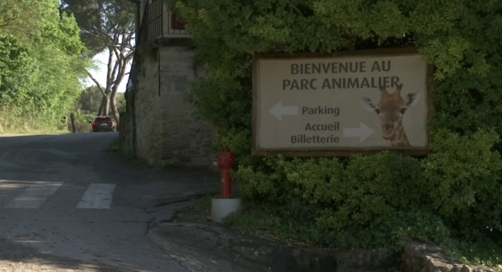 截屏2025-05-15 13.43.19.png