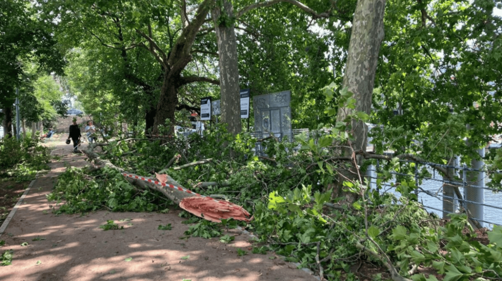 截屏2025-06-26 18.39.57.png