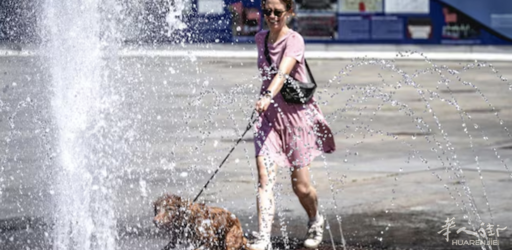 截屏2025-07-03 20.01.02.png