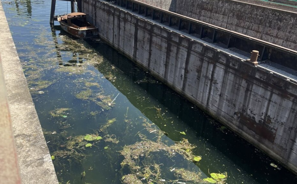 截屏2025-07-03 18.23.52.png