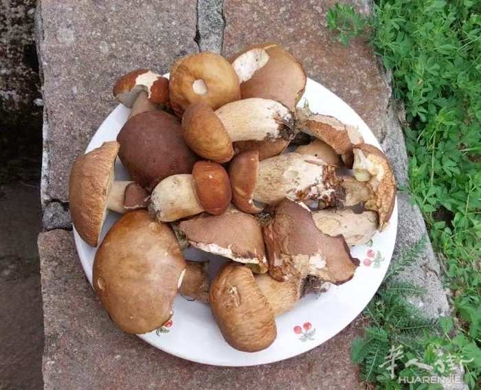 picture.jpg