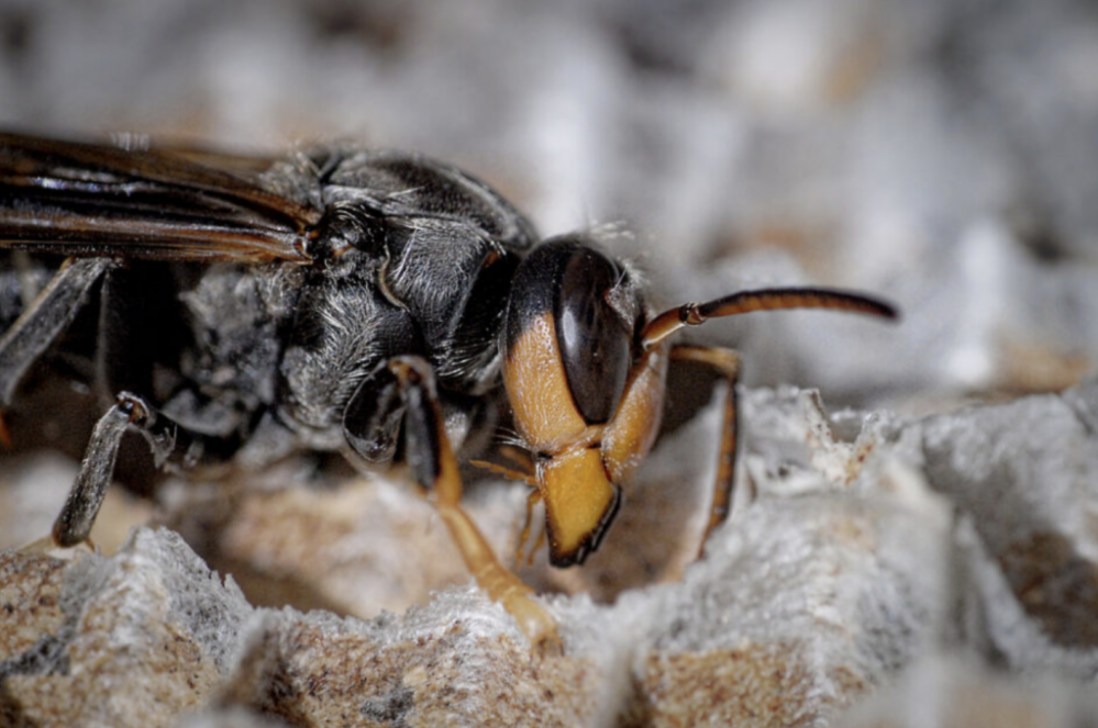 截屏2025-07-24 11.09.09.png