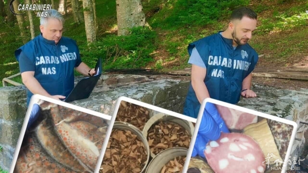 Carabinieri Nas-3.jpg