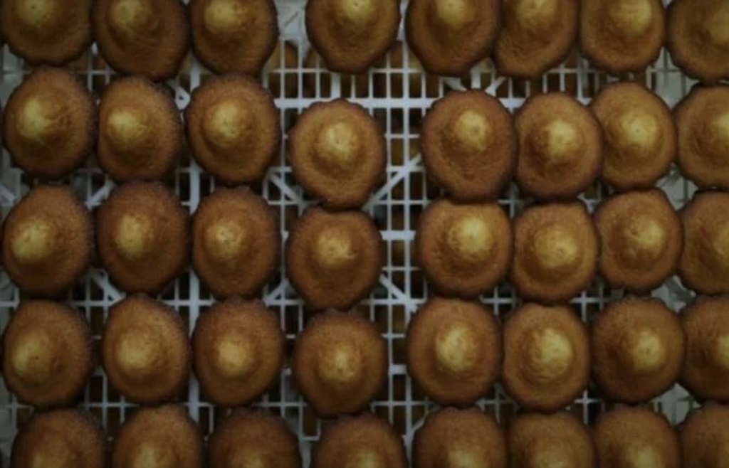 截屏2025-07-27 20.19.37.png