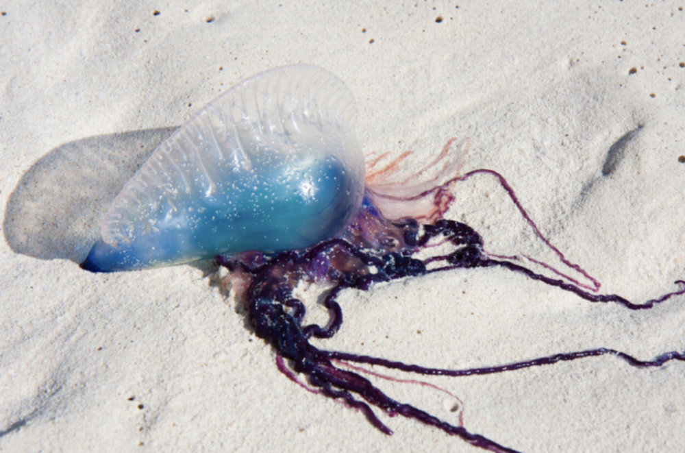 截屏2025-07-28 21.39.43.png