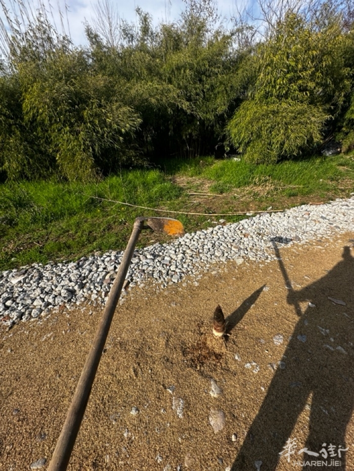 picture.jpg