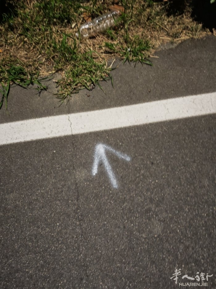 picture.jpg