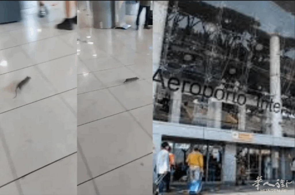 QQ截图20250803131212.jpg