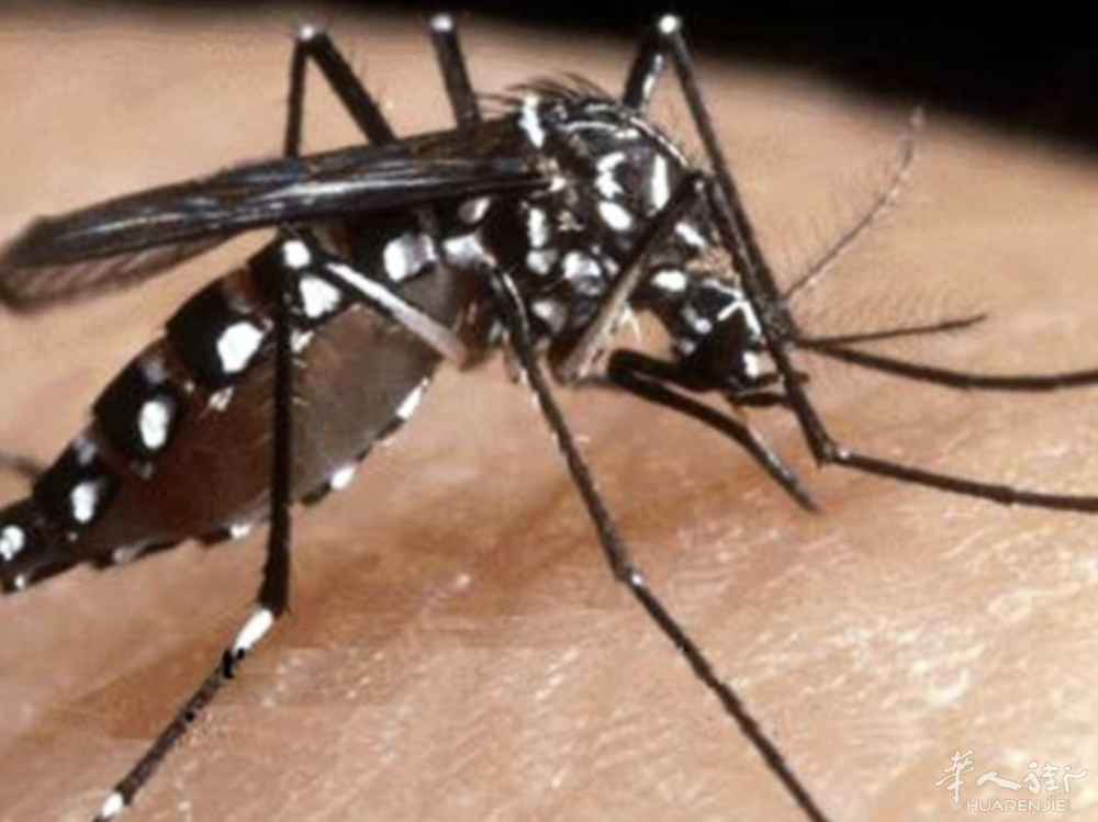 截屏2025-08-04 22.02.57.png