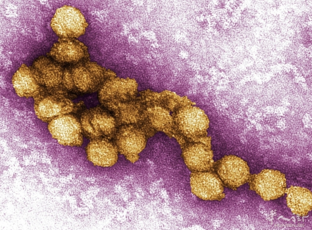 截屏2025-08-04 22.03.17.jpg