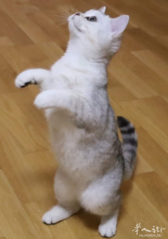 picture.jpg