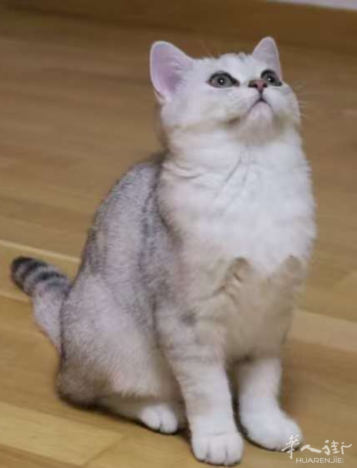 picture.jpg