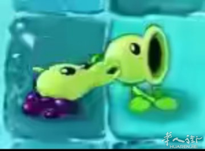 picture.jpg