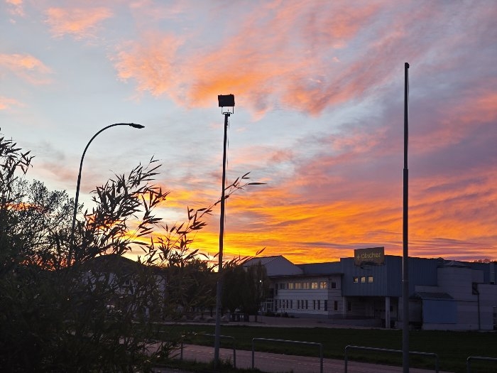picture.jpg