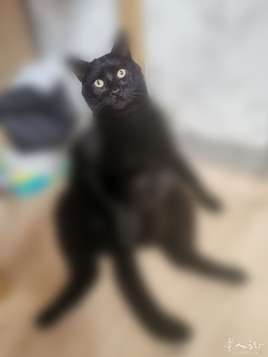 1756125292.png