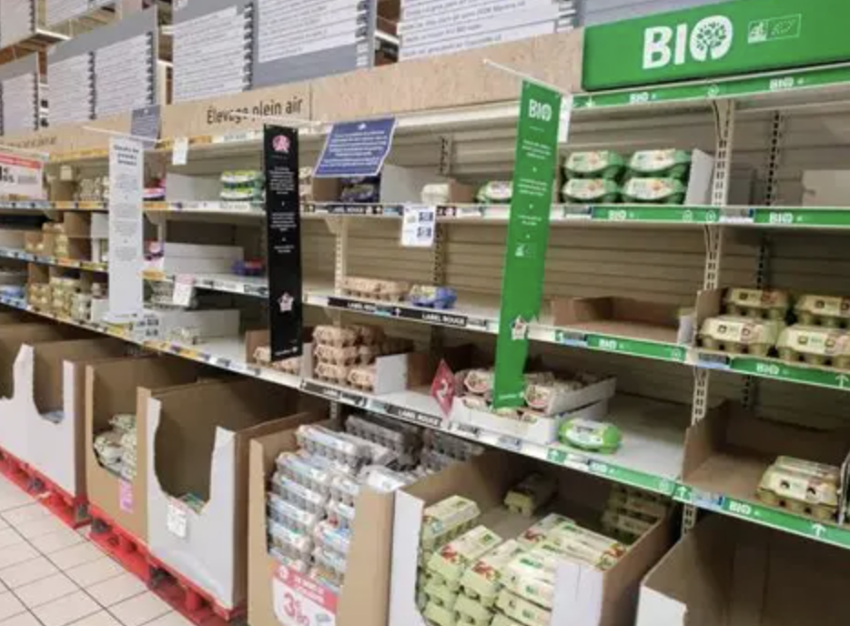 截屏2025-08-29 08.30.23.png