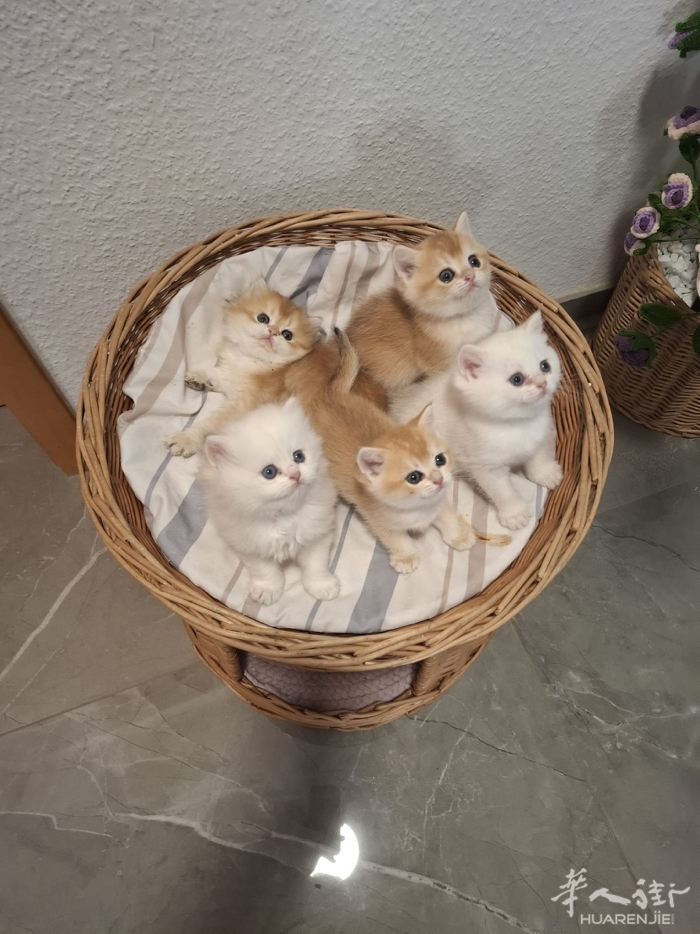 picture.jpg
