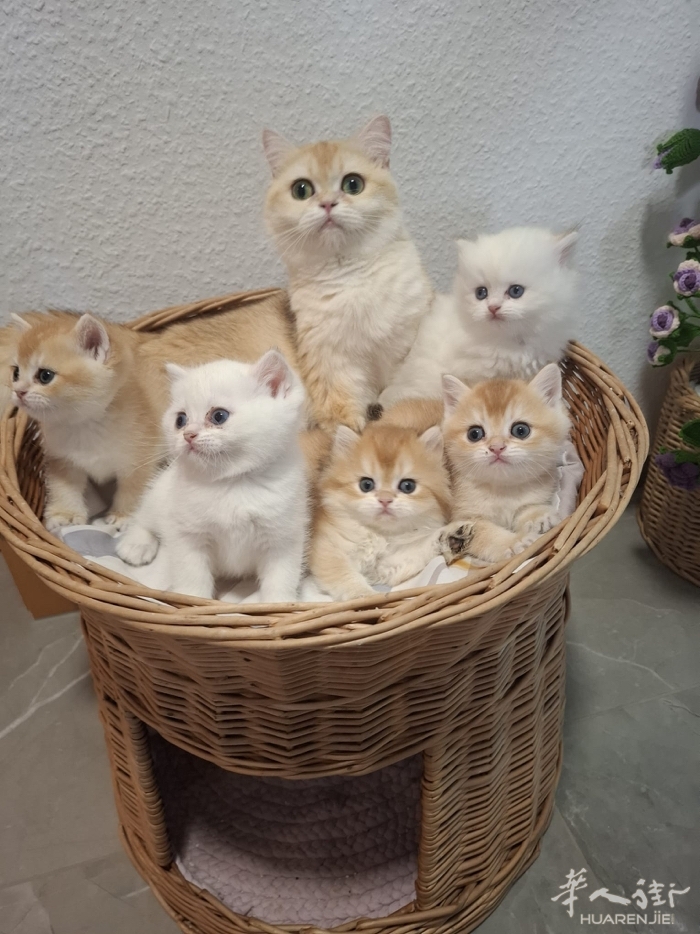 picture.jpg