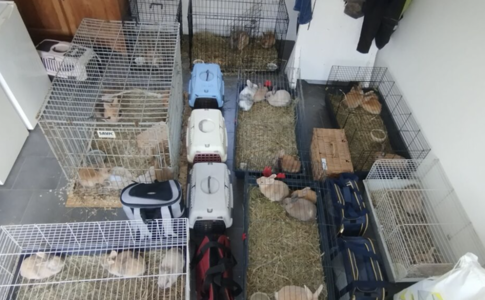 截屏2025-09-03 06.25.19.png