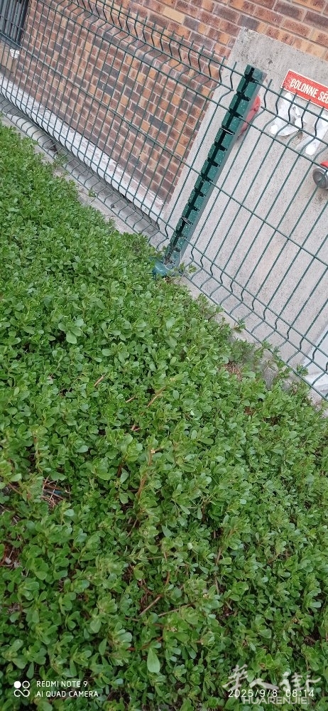 picture.jpg