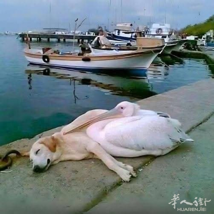 picture.jpg