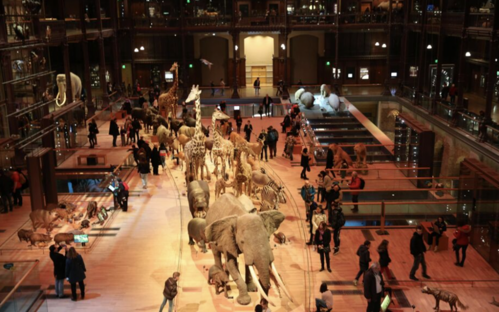 截屏2025-09-17 07.12.36.png