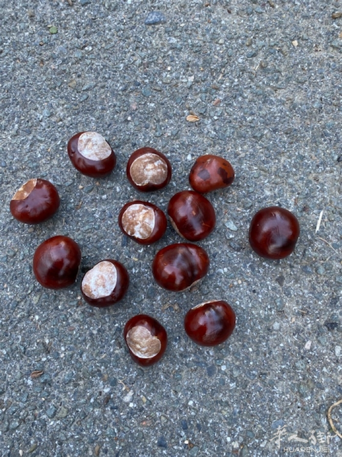 picture.jpg