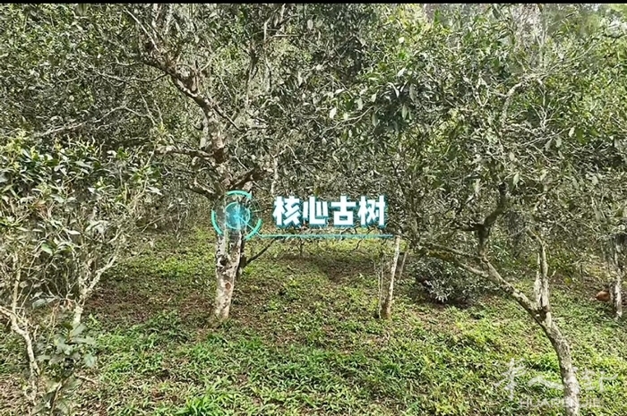 picture.jpg