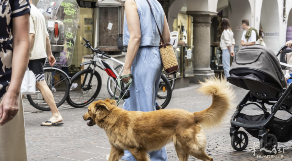 截屏2025-09-24 23.51.31.png