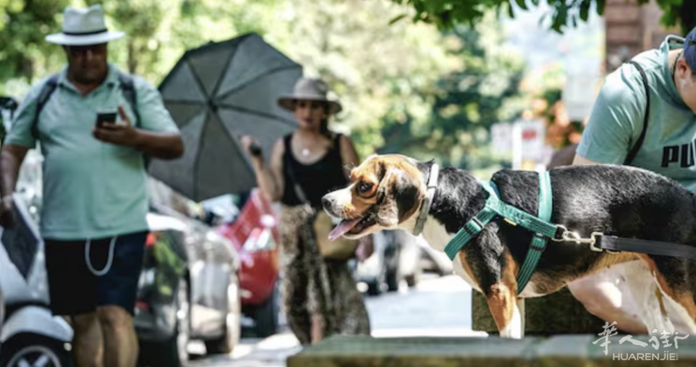 截屏2025-09-24 23.50.37.png