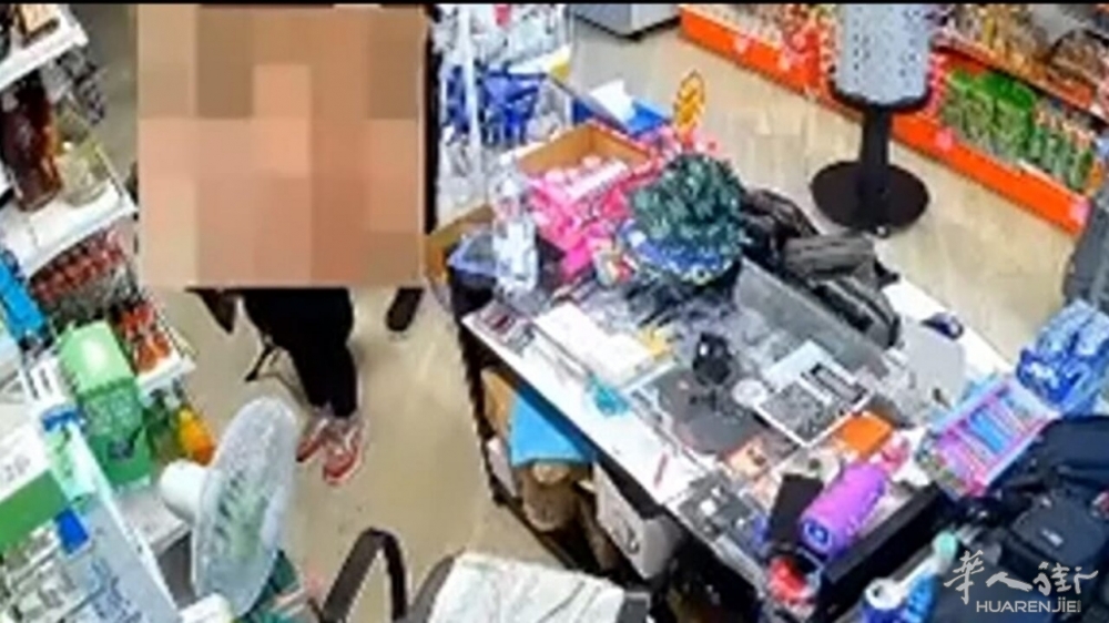 borseggiatrici video torino.jpg