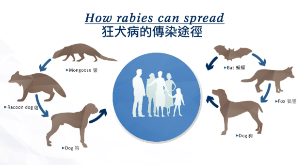 Capture d’écran 2025-10-01 à 12.55.16.png