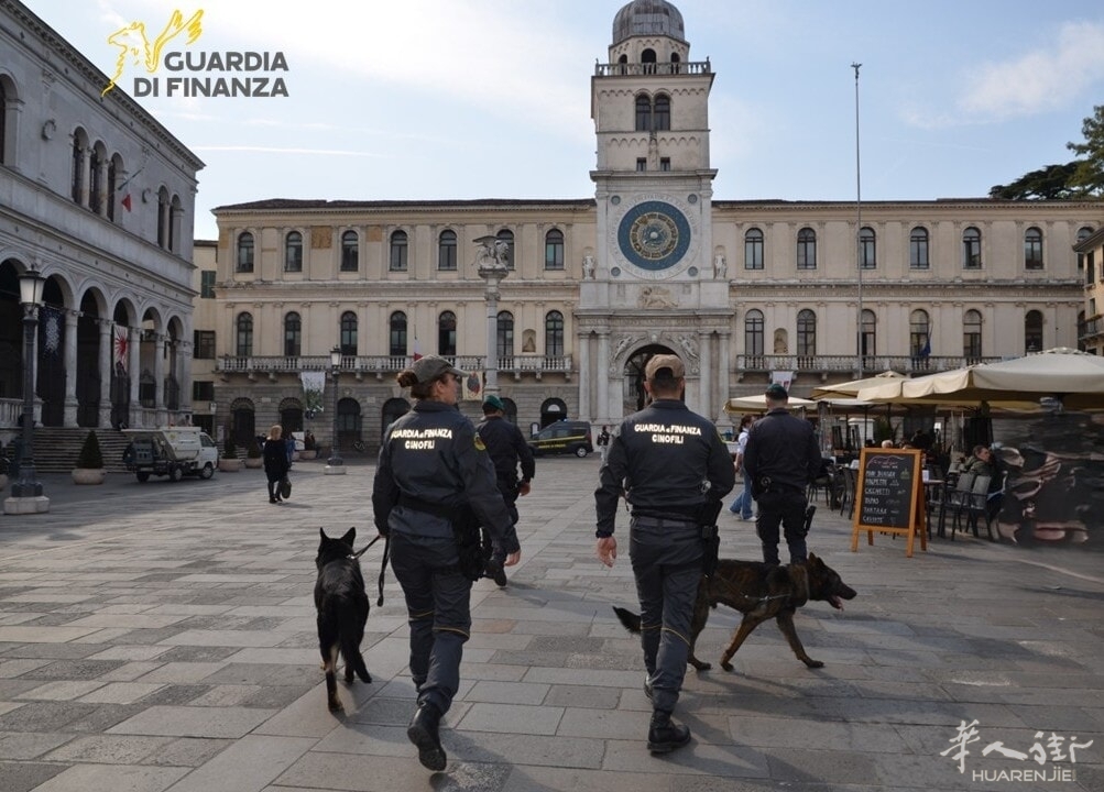 L'unità cinofila della Guardia di Finanza in azione in centro a Padova.jpg