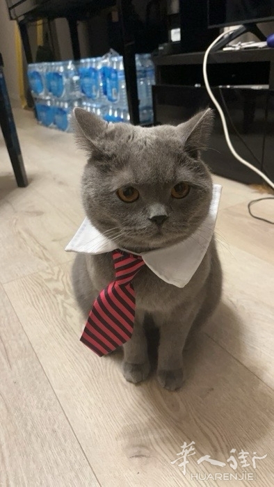 picture.jpg